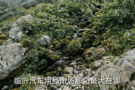 临沂汽车用品市场那个最大在哪