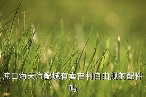 沌口海天汽配城有卖吉利自由舰的配件吗