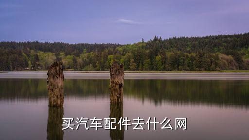 买汽车配件去什么网