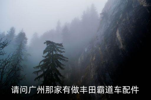 请问广州那家有做丰田霸道车配件