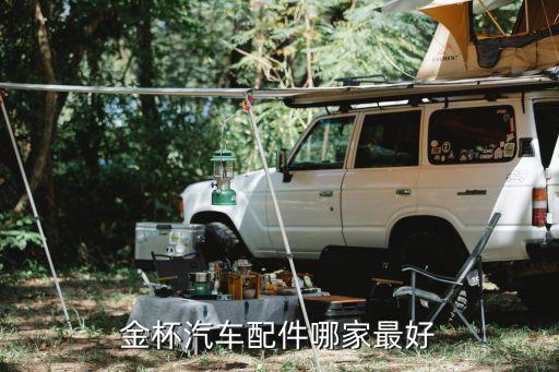 金杯汽车配件哪家最好