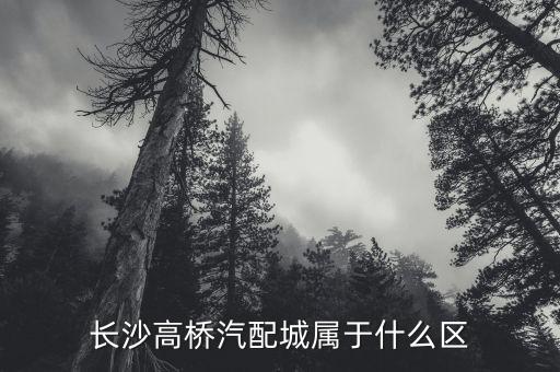 长沙高桥汽配城属于什么区