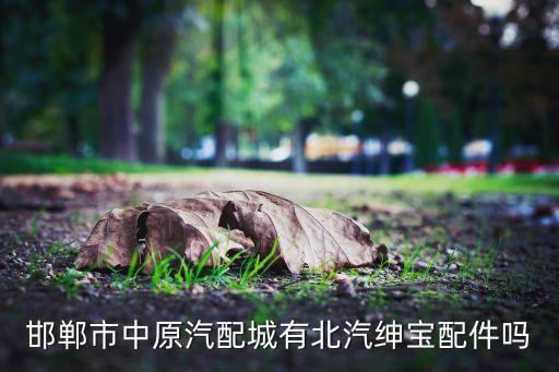 邯郸中原汽配城，邯郸市中原汽配城有北汽绅宝配件吗