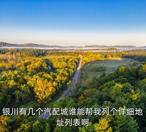 银川有几个汽配城谁能帮我列个详细地址列表啊