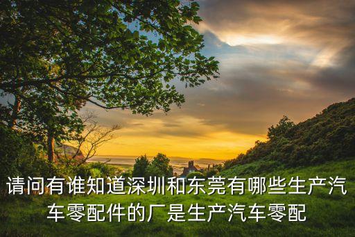 请问有谁知道深圳和东莞有哪些生产汽车零配件的厂是生产汽车零配