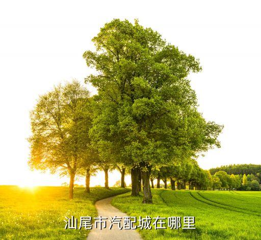汕尾市汽配城在哪里