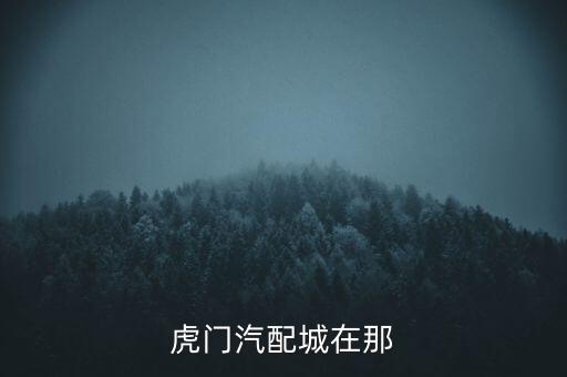 虎门汽配城在那