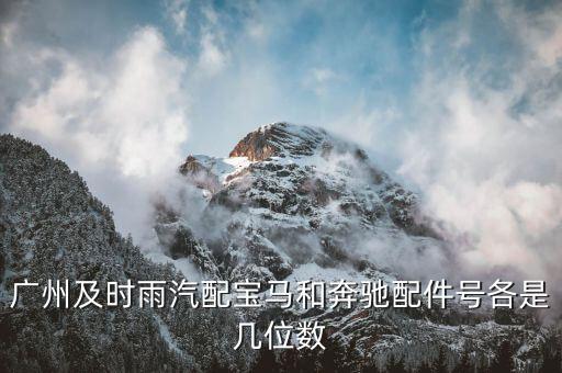 广州及时雨汽配宝马和奔驰配件号各是几位数