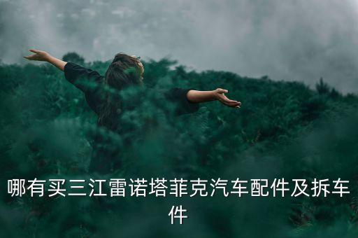 哪有买三江雷诺塔菲克汽车配件及拆车件