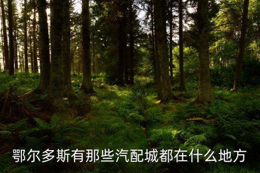 鄂尔多斯有那些汽配城都在什么地方