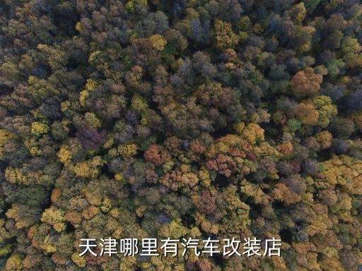 天津哪里有汽车改装店