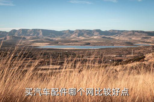 买汽车配件哪个网比较好点