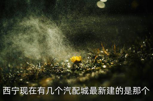 西宁现在有几个汽配城最新建的是那个