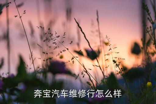 奔宝汽车维修行怎么样