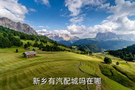 新乡有汽配城吗在哪