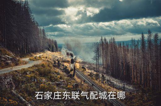 石家庄东联气配城在哪