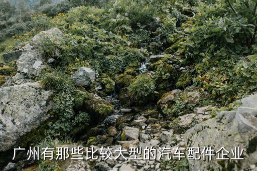 广州有那些比较大型的汽车配件企业