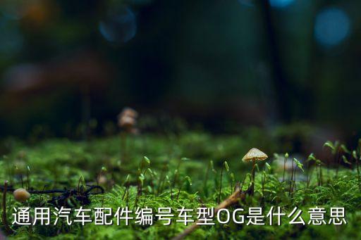 通用汽车配件编号车型OG是什么意思