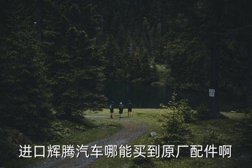进口辉腾汽车哪能买到原厂配件啊