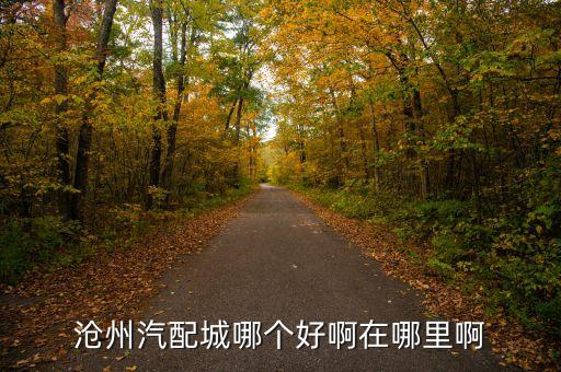 沧州汽配城哪个好啊在哪里啊
