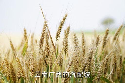云南广西的汽配城