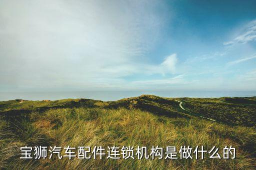宝狮汽车配件连锁机构是做什么的
