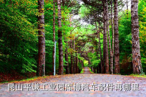 昆山平谦工业园库博汽车配件再哪里
