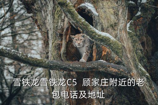 雪铁龙雪铁龙C5  顾家庄附近的老包电话及地址