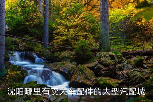 沈阳哪里有卖大车配件的大型汽配城