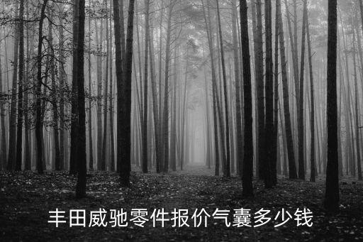丰田威驰零件报价气囊多少钱