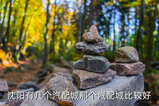 沈阳有几个汽配城那个汽配城比较好