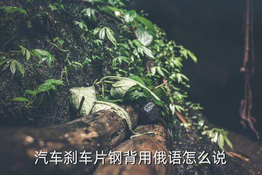 汽车刹车片钢背用俄语怎么说