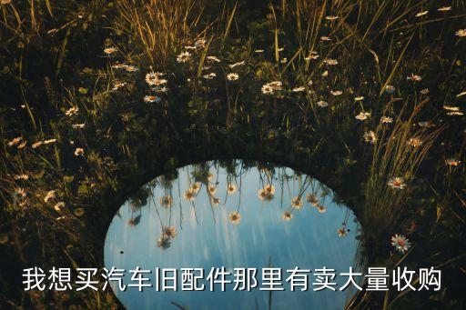 我想买汽车旧配件那里有卖大量收购