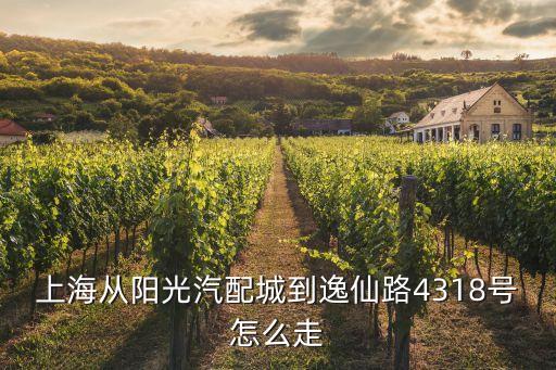 上海从阳光汽配城到逸仙路4318号怎么走