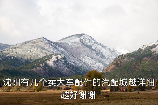 沈阳有几个卖大车配件的汽配城越详细越好谢谢
