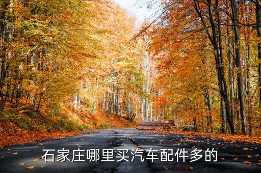 石家庄哪里买汽车配件多的