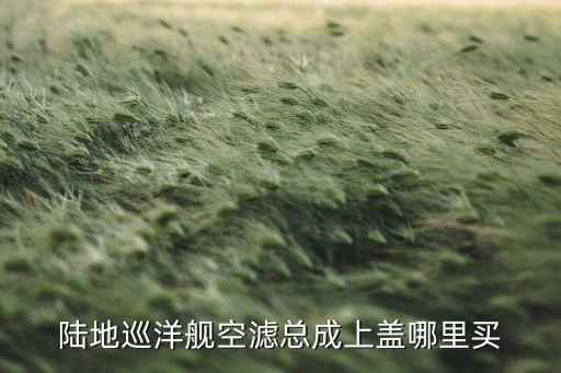 陆地巡洋舰空滤总成上盖哪里买