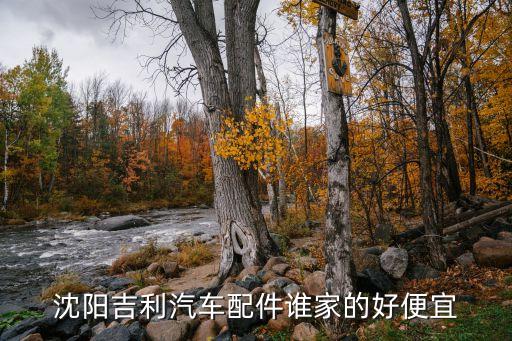 沈阳吉利汽车配件谁家的好便宜