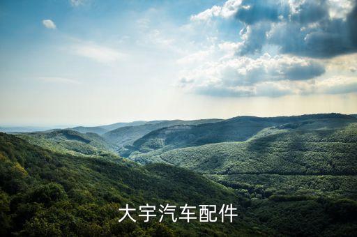 大宇汽车配件