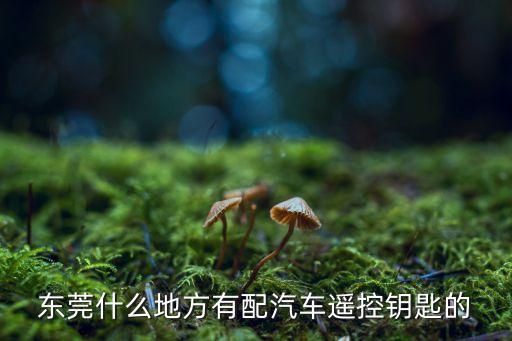 东莞什么地方有配汽车遥控钥匙的