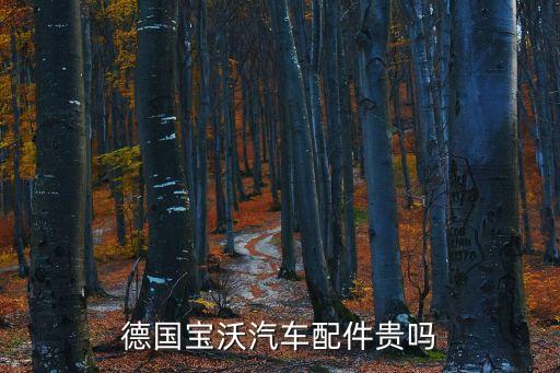 德国宝沃汽车配件贵吗