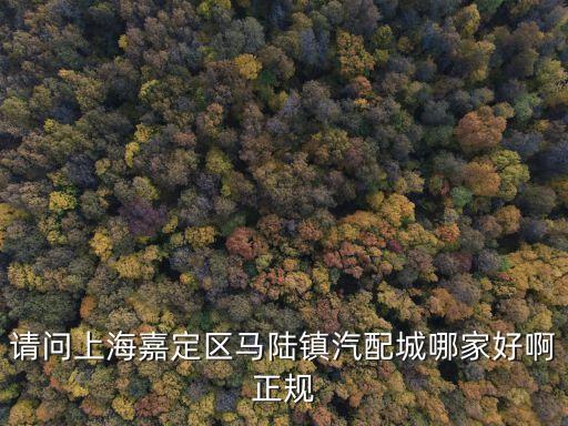 请问上海嘉定区马陆镇汽配城哪家好啊正规