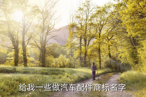 汽车配件供应商的商标，汽车配件stone的商标是什么