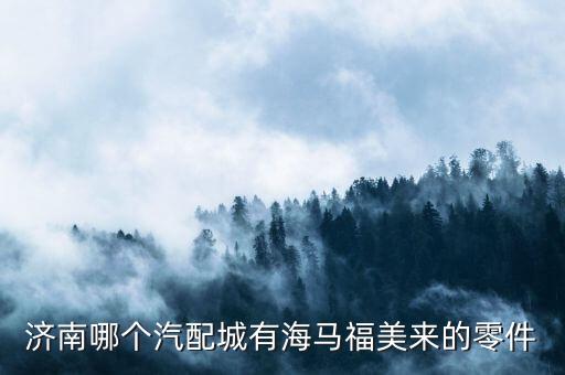 济南哪个汽配城有海马福美来的零件