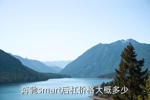 奔驰smart后杠价格大概多少