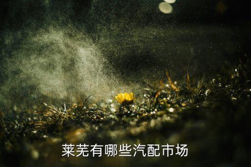 莱芜有哪些汽配市场