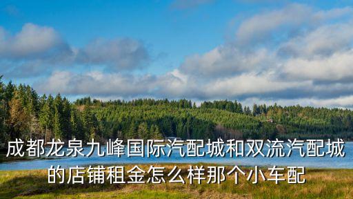 成都龙泉九峰国际汽配城和双流汽配城的店铺租金怎么样那个小车配