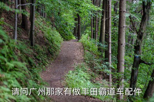 请问广州那家有做丰田霸道车配件
