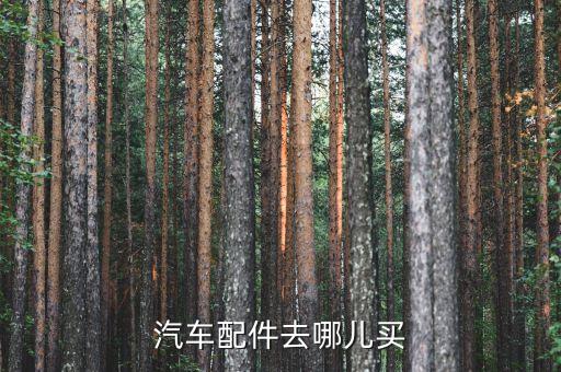 汽车配件去哪儿买