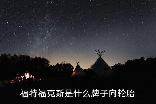 福特福克斯是什么牌子向轮胎